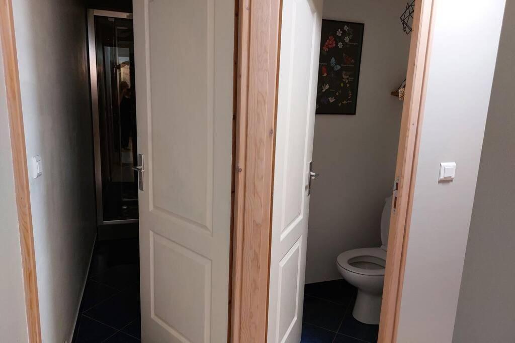 Studio Cosy De 2 A 4 Personnes Au Coeur Du Haut Doubs, Entre Les Lacs, Les Montagnes Et Les Vignobles Apartment Frasne Exterior foto
